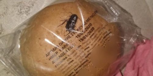 Βρήκανε κατσαρίδα σε συσκευασία ψωμιού σε δημοτικό σχολείο!