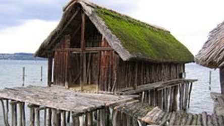 Η προϊστορική ζωή σε ξύλινες κατοικίες, σπάνιο αντικείμενο έκθεσης
