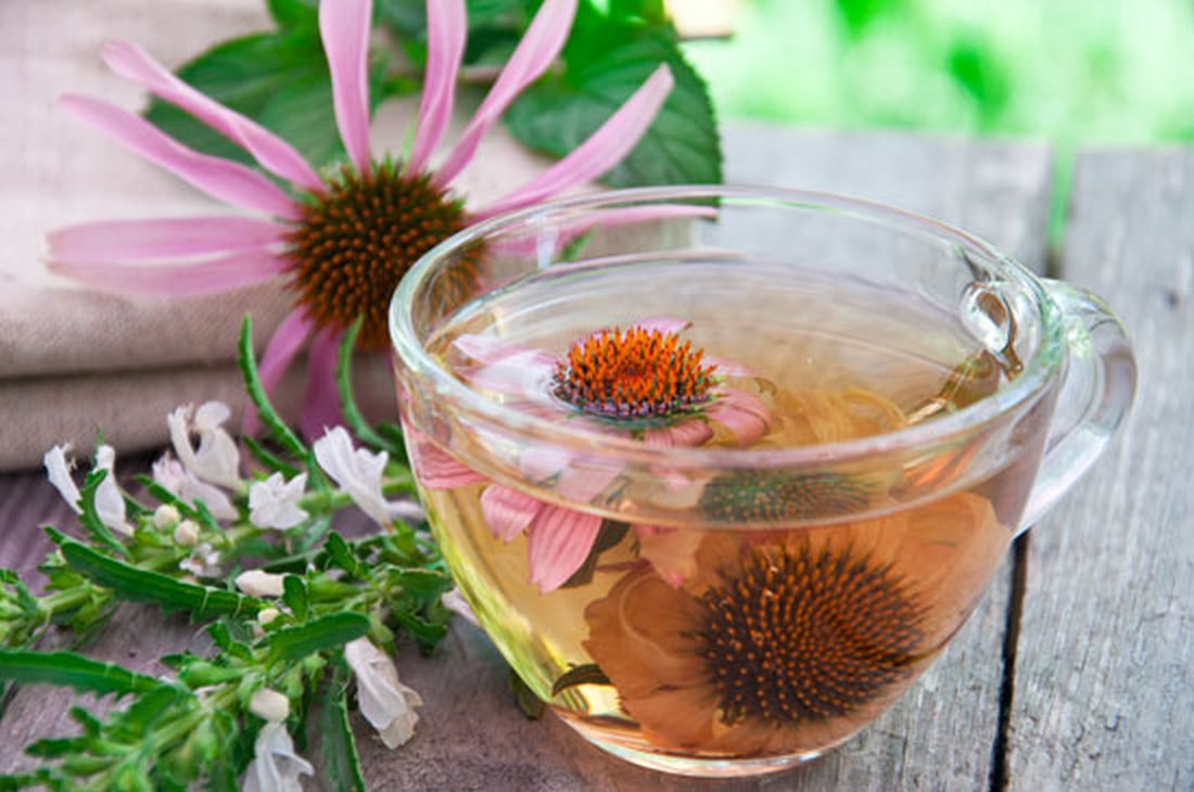 exinakeia echinachea votano herbs fysi mitera gi tsai