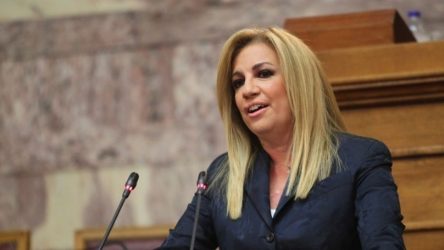 H Φώφη Γεννηματά για το τεστ του κορονοϊού