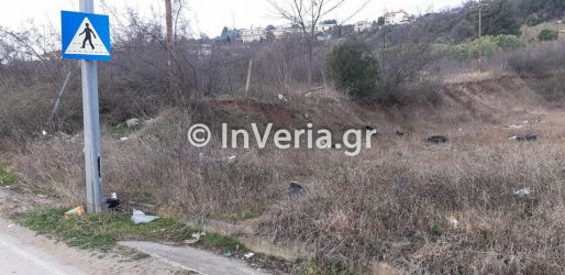 Εξιχνιάστηκε ο φόνος στη Βέροια: Τη βίασαν και την άφησαν νεκρή (ΒΙΝΤΕΟ)