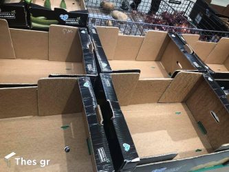 Οικολόγοι Πράσινοι: “Ενημερώσου, μάθε τα δικαιώματά σου, κατανάλωσε λελογισμένα”
