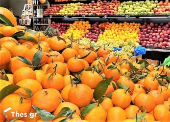 Ρεφανίδης: Με ένα απλό τηλεφώνημα όλη η «Φρουτομαγεία» μεταφέρεται στο σπίτι μας (ΦΩΤΟ)