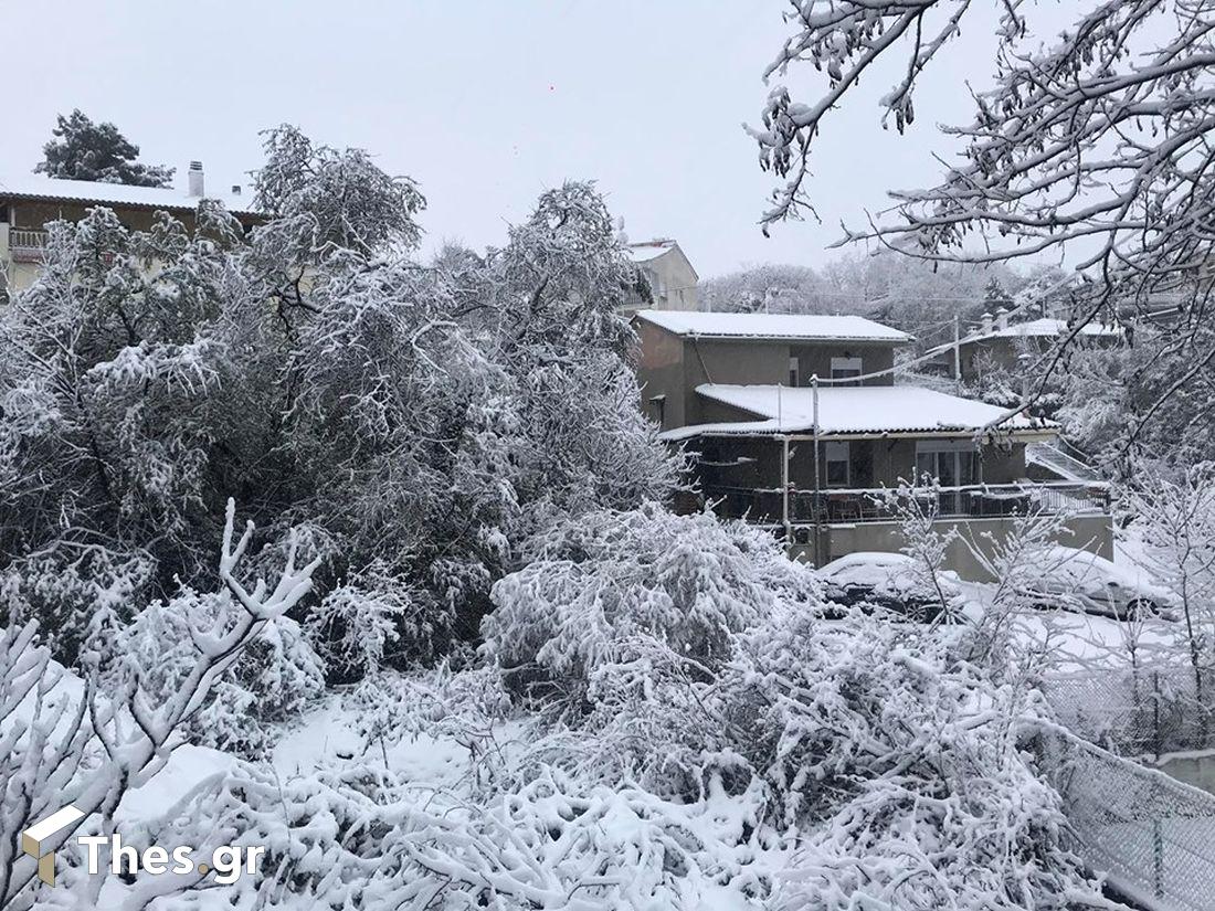 χιόνι Θεσσαλονίκη χιόνια καιρός