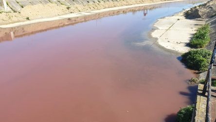 Αγνωστοι προκάλεσαν ρύπανση στο χείμαρρο του Δεντροποτάμου! (ΦΩΤΟ)