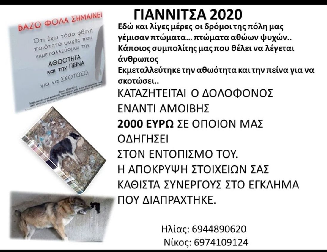 ΓΙΑΝΝΙΤΣΑ