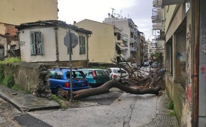 Καβάλα: Δέντρο καταπλάκωσε αυτοκίνητα από τους ισχυρούς ανέμους (ΦΩΤΟ)