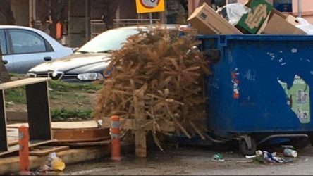 Θεσσαλονίκη: Πετούν στα σκουπίδια καναπέδες και… χριστουγεννιάτικα δέντρα!