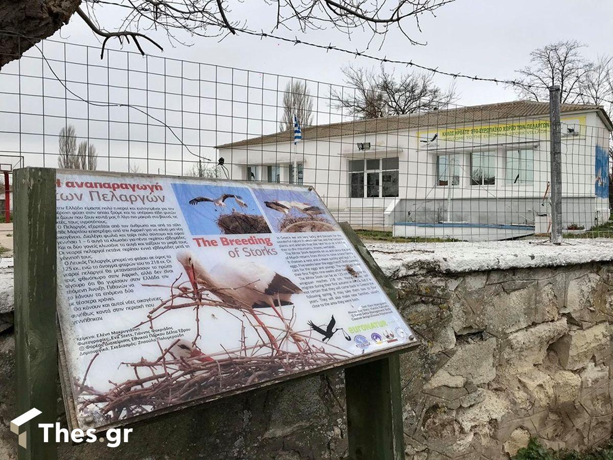 χωριό πελαργοί πελαργών Πόρο Φερών Εβρο Πόρος Φέρες Εβρος σπίτι