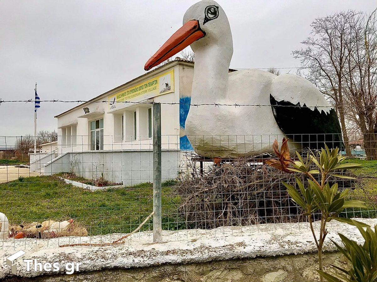 χωριό πελαργοί πελαργών Πόρο Φερών Εβρο Πόρος Φέρες Εβρος σπίτι