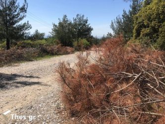 Για τις καλοκαιρινές φωτιές ετοιμάζεται η Θεσσαλονίκη – Η προσοχή στο Σέιχ Σου