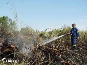 Χαλκιδική: Υπό πλήρη έλεγχο τέθηκε η φωτιά στο Λάκκωμα