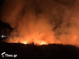 Θεσσαλονίκη: Φωτιά σε ξερά χόρτα στην Ευκαρπία
