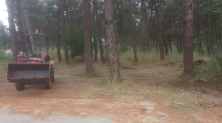 Καθαρίζει τις αντιπυρικές ζώνες ο Δήμος Θεσσαλονίκης (ΦΩΤΟ)