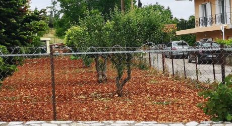 Οργή για τους μετανάστες στη Μαλακάσα: «Θα καούμε όλοι»