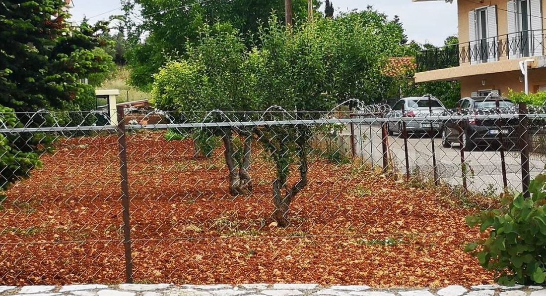 Μαλακάσα
