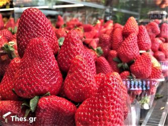 Πώς να διατηρήσετε φρέσκες τις φράουλες και τα μούρα για αρκετό καιρό