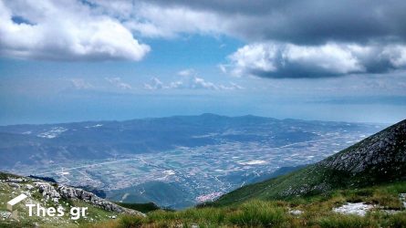 Το ψύχος “χτύπησε” καλλιέργειες του Παγγαίου – Πολλές οι ζημιές