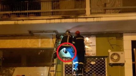 Θεσσαλονίκη: Πυροσβέστες έσωσαν γατάκι που εγκλωβίστηκε σε γυψοσανίδα! (ΒΙΝΤΕΟ)