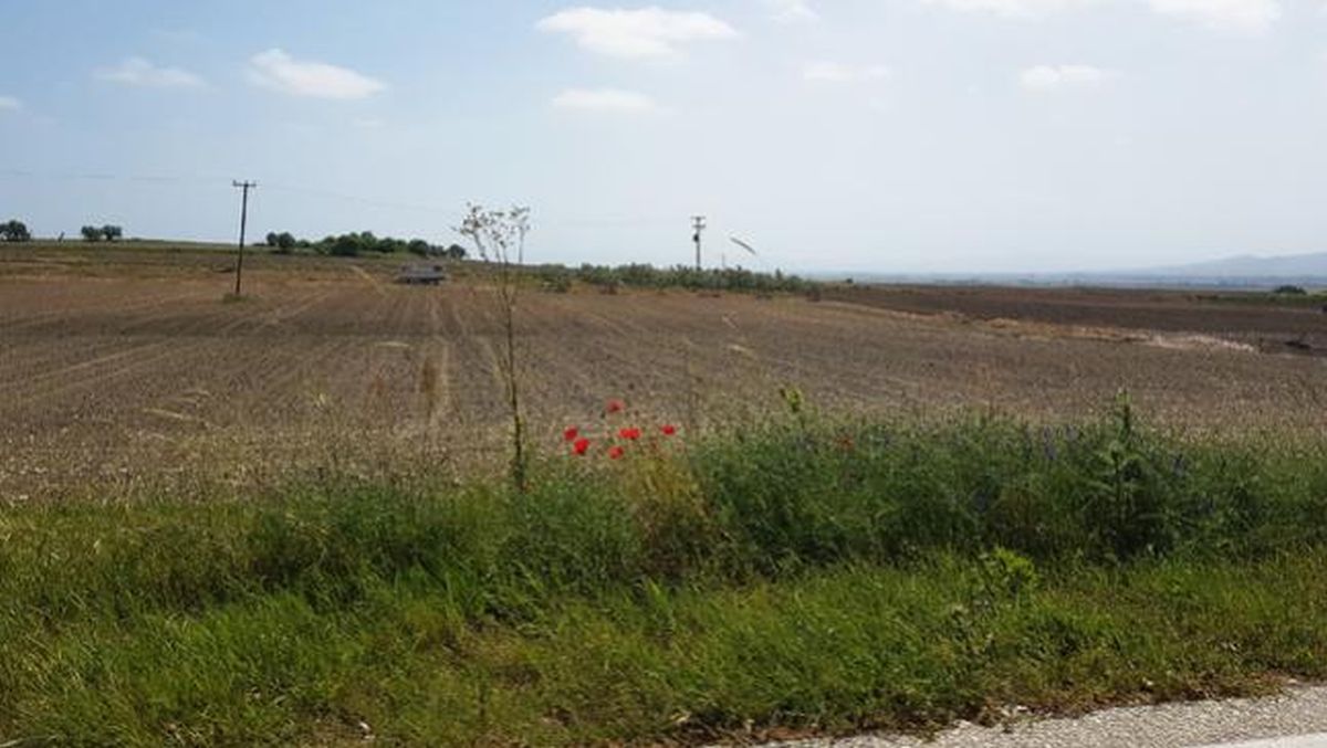 Ροδόπη χωράφια εργάτες γης Βουλγαρία