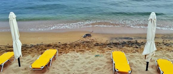 Καβάλα: Και άλλη νεκρή χελώνα σε παραλία της Κεραμωτής (ΦΩΤΟ)