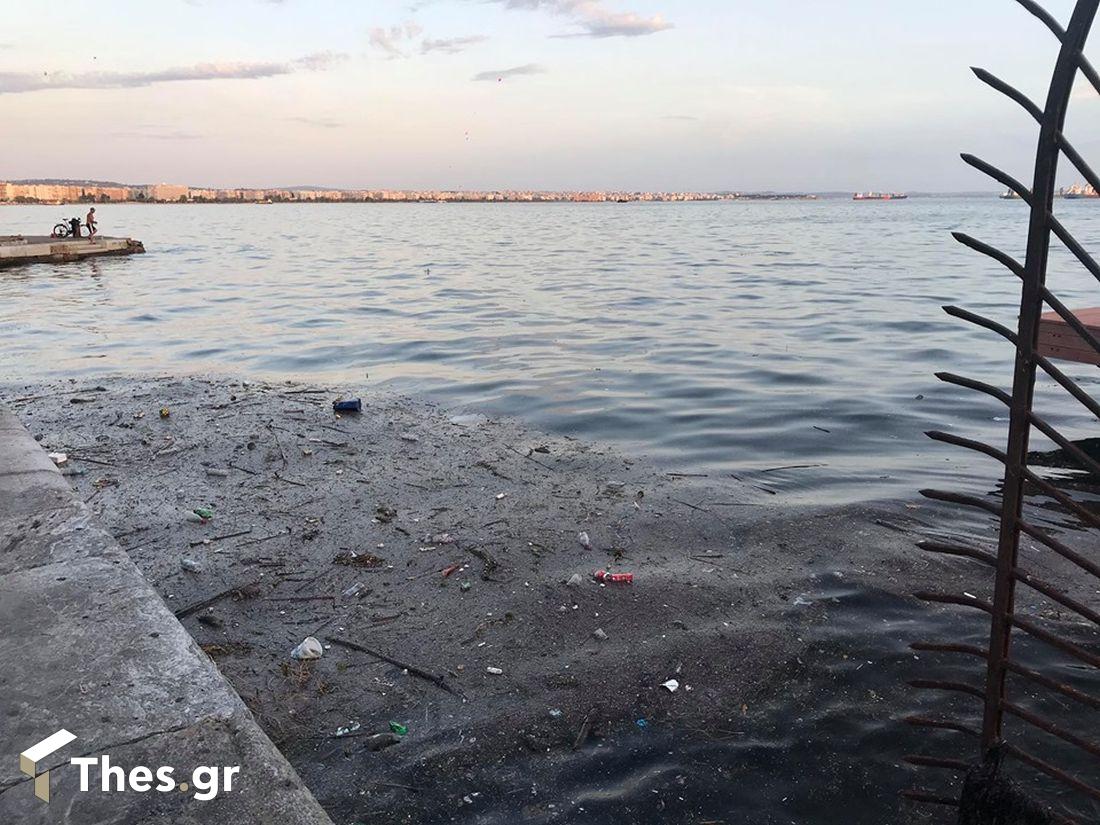 Θεσσαλονίκη ποντίκια Θερμαϊκός