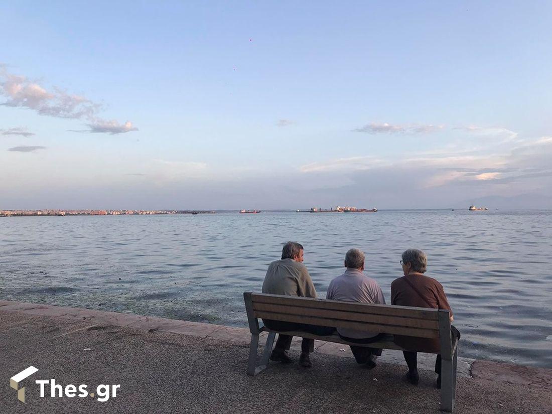 Θεσσαλονίκη ποντίκια Θερμαϊκός