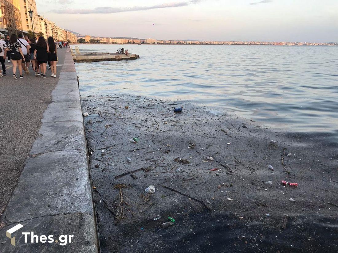 Θεσσαλονίκη ποντίκια Θερμαϊκός