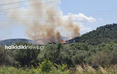 Χαλκιδική: Υπό έλεγχο η φωτιά στη Σιθωνία (ΦΩΤΟ)