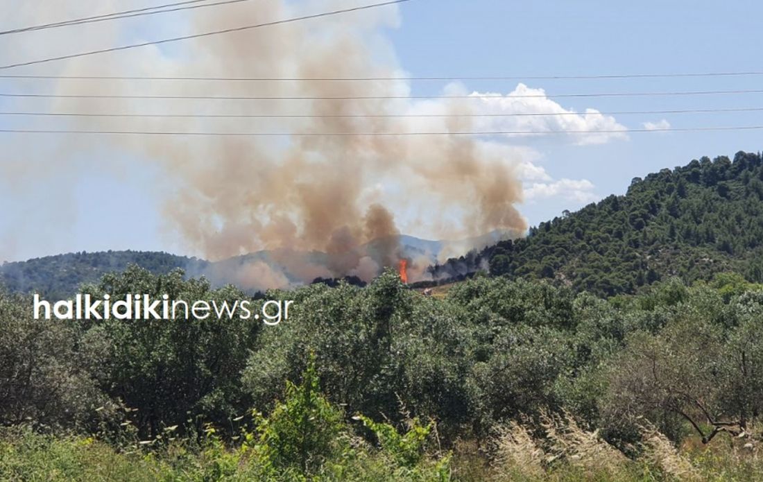 Χαλκιδική