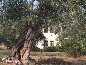Η εντυπωσιακή βίλα του Στάνλεϊ Τζόνσον στο Πήλιο (ΦΩΤΟ)