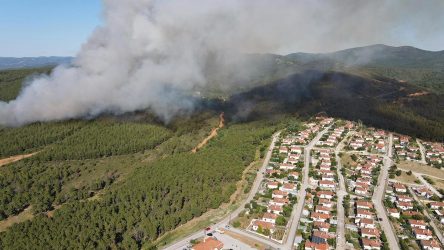 Μεγάλη φωτιά στη Ροδόπη – Εκκενώνεται ο οικισμός Ποντίων (ΒΙΝΤΕΟ)
