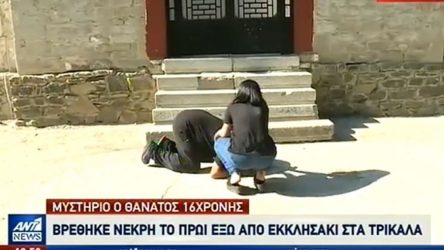 Τρίκαλα: Θρήνος από τον πατέρα και την αδελφή της 16χρονης