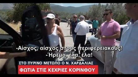 Φωτιά Κορινθία: Ενταση ανάμεσα σε πολίτη και Χαρδαλιά (ΒΙΝΤΕΟ)