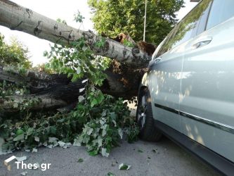 Θεσσαλονίκη: Αέρας ξερίζωσε πλάτανο και καταπλάκωσε οχήματα στην Ανω Πόλη