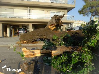 Βόλος: Επιτέθηκε με τσεκούρι στον γείτονά του για έναν κορμό δέντρου