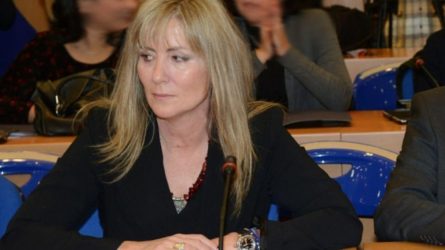 Ερευνα για ψευδή δημοσιεύματα ζητά η Ελένη Τουλουπάκη