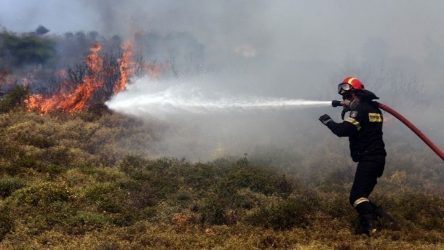 Μεγάλη φωτιά στη Σάμο: Εκκενώθηκαν οικισμός και ξενοδοχεία