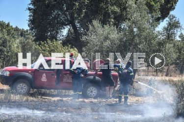Υπό έλεγχο η μεγάλη φωτιά στην Ηλεία