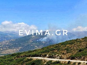 Μεγάλη φωτιά σε εξέλιξη στην Εύβοια