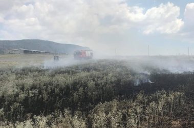 Θεσσαλονίκη: Φωτιά σε ξερά χόρτα στο Φίλυρο!