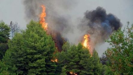 Υψηλός κίνδυνος πυρκαγιάς αύριο σε περιοχές της Ελλάδας
