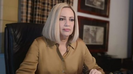 Φώφη Γεννηματά: Μία μέρα πριν πέσει σε κώμα γιόρτασε τα γενέθλια του γιου της στο νοσοκομείο (ΒΙΝΤΕΟ)