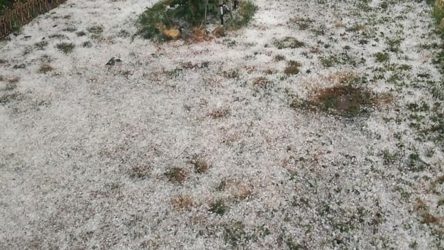 ΕΛΓΑ: Πληρώνονται αύριο οι αποζημιώσεις στους δικαιούχους