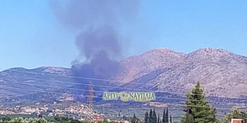 Μεγάλη φωτιά στις Μυκήνες – Εκκενώνεται αρχαιολογικός χώρος