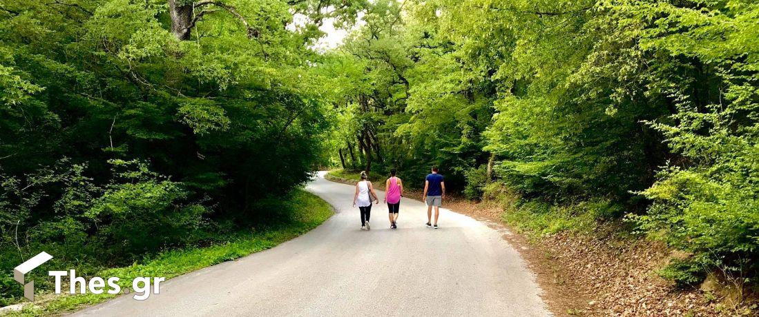 Θεσσαλονίκη Φίλυρο 3 Πλατάνια απόδραση