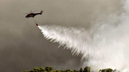 Πυρκαγιά σε δύσβατη περιοχή στον Ολυμπο – Επιχειρούν εναέρια μέσα