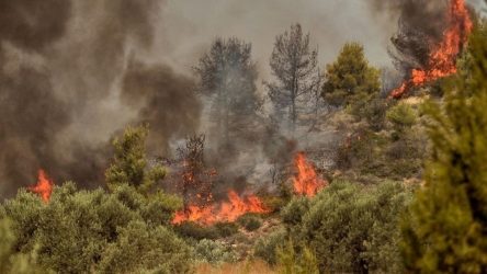 Φωτιά και σε δασική έκταση στην Ελασσόνα Λάρισας