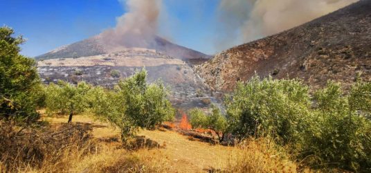 Τσίπρας για Μυκήνες: “Λίγη ντροπή δεν θα έβλαπτε”