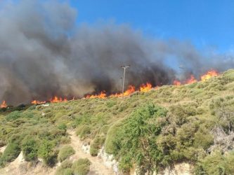 Ξέσπασε νέα φωτιά στη δυτική Μάνη